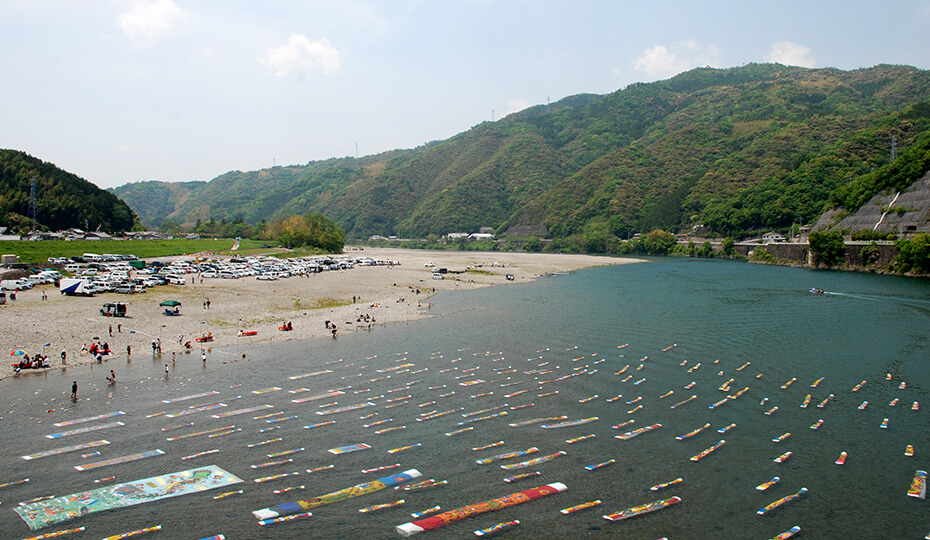 仁淀川紙のこいのぼり　／　写真提供：いの町観光協会